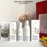  Nước hoa hồng trắng da dưỡng ẩm se khít lỗ chân lông The Face Shop White Seed Brightening Toner 160ml 
