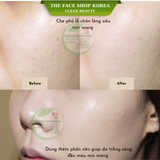  Kem lót làm mịn lỗ chân lông che khuyết điểm bảo vệ da THEFACESHOP INK LASTING PRIMER 30ml 