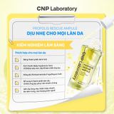  Tinh Chất Keo Ong Cấp Ẩm Phục Hồi Cho Da Dầu Mụn CNP Propolis Rescue Ampule 50ML 