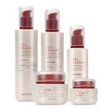  Bộ dưỡng da chống lão hóa chiết xuất lựu THE FACE SHOP Pomegranate & Collagen 5pcs 