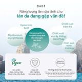  Bông dưỡng da thuần chay Beyond Angel Teatreeol Toner Pad 185ml (130 miếng) 