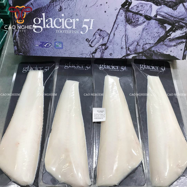  Cá Tuyết Úc Fillet - Australian Toothfish Glacier 51 Fillet 