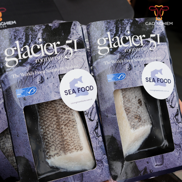  Cá Tuyết Úc - Australian Toothfish Glacier 51 