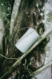  BỚP BAG 