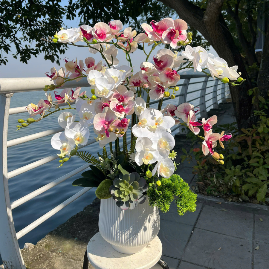  BST LAN - LAN HỒ ĐIỆP HỒNG TRẮNG 