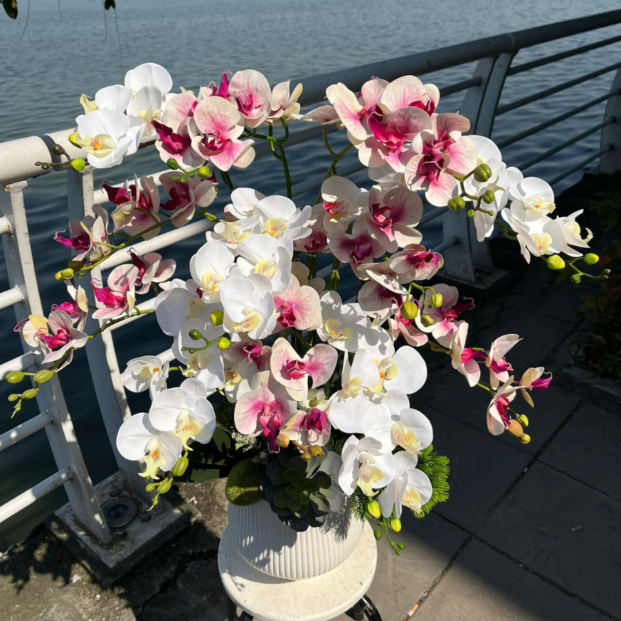  BST LAN - LAN HỒ ĐIỆP HỒNG TRẮNG 