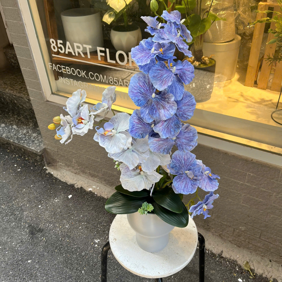  BST LAN - HỒ ĐIỆP CÁNH XOĂN XANH MIX 