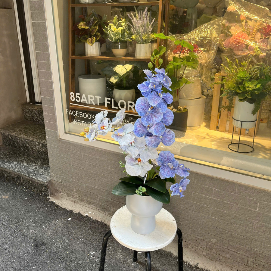  BST LAN - HỒ ĐIỆP CÁNH XOĂN XANH MIX 