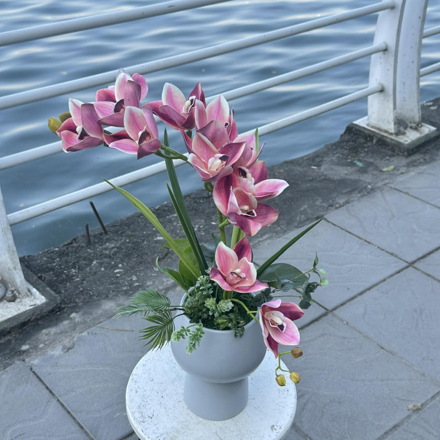  BST LAN - ĐỊA LAN HỒNG ĐẬM MẸ CON 