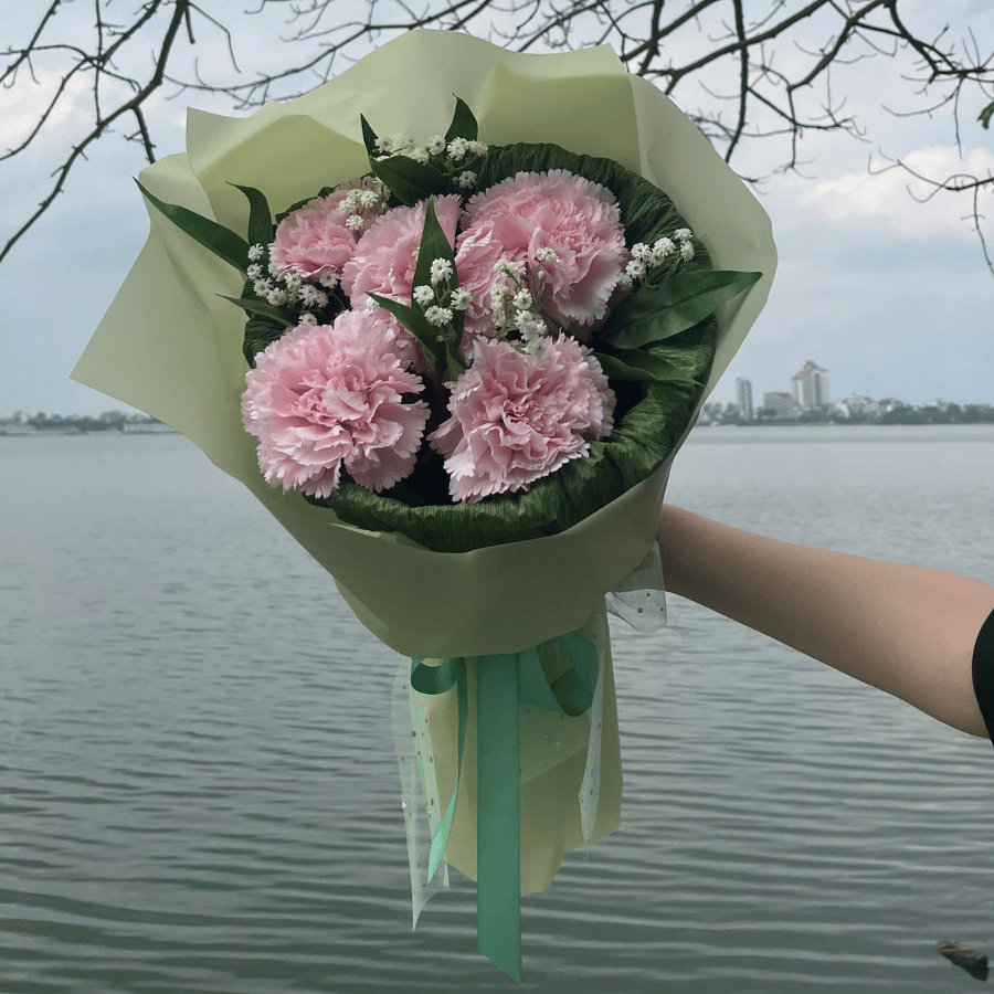  HOA BÓ - CẨM CHƯỚNG HỒNG L 