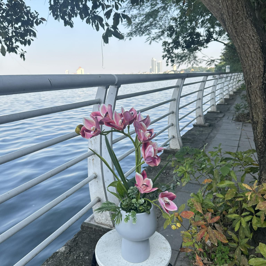  BST LAN - ĐỊA LAN HỒNG ĐẬM MẸ CON 