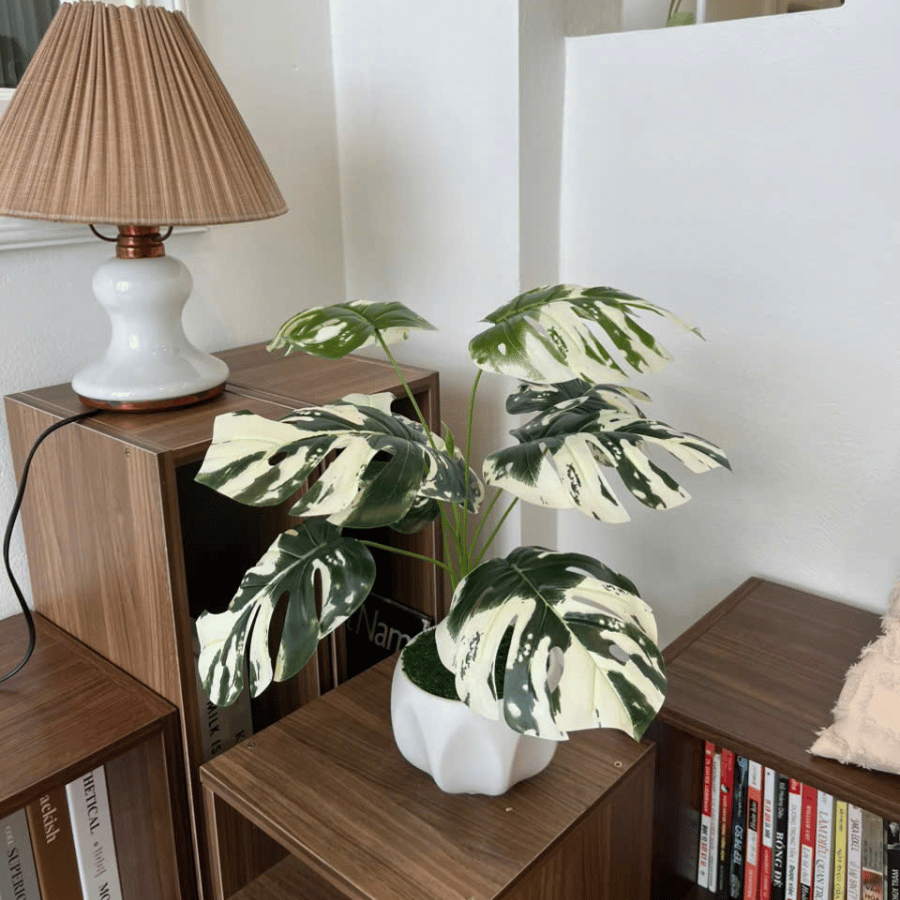  85ART - CÂY TRẦU BÀ TRẮNG LOANG 