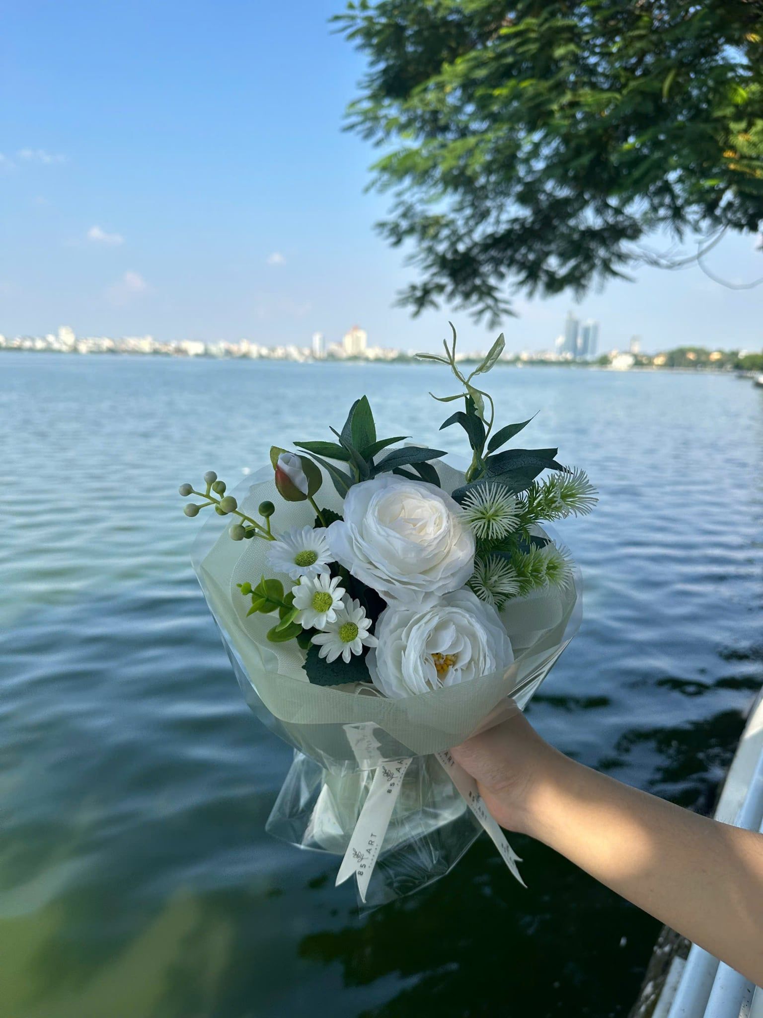  HỒNG TRẮNG 2 BÔNG 