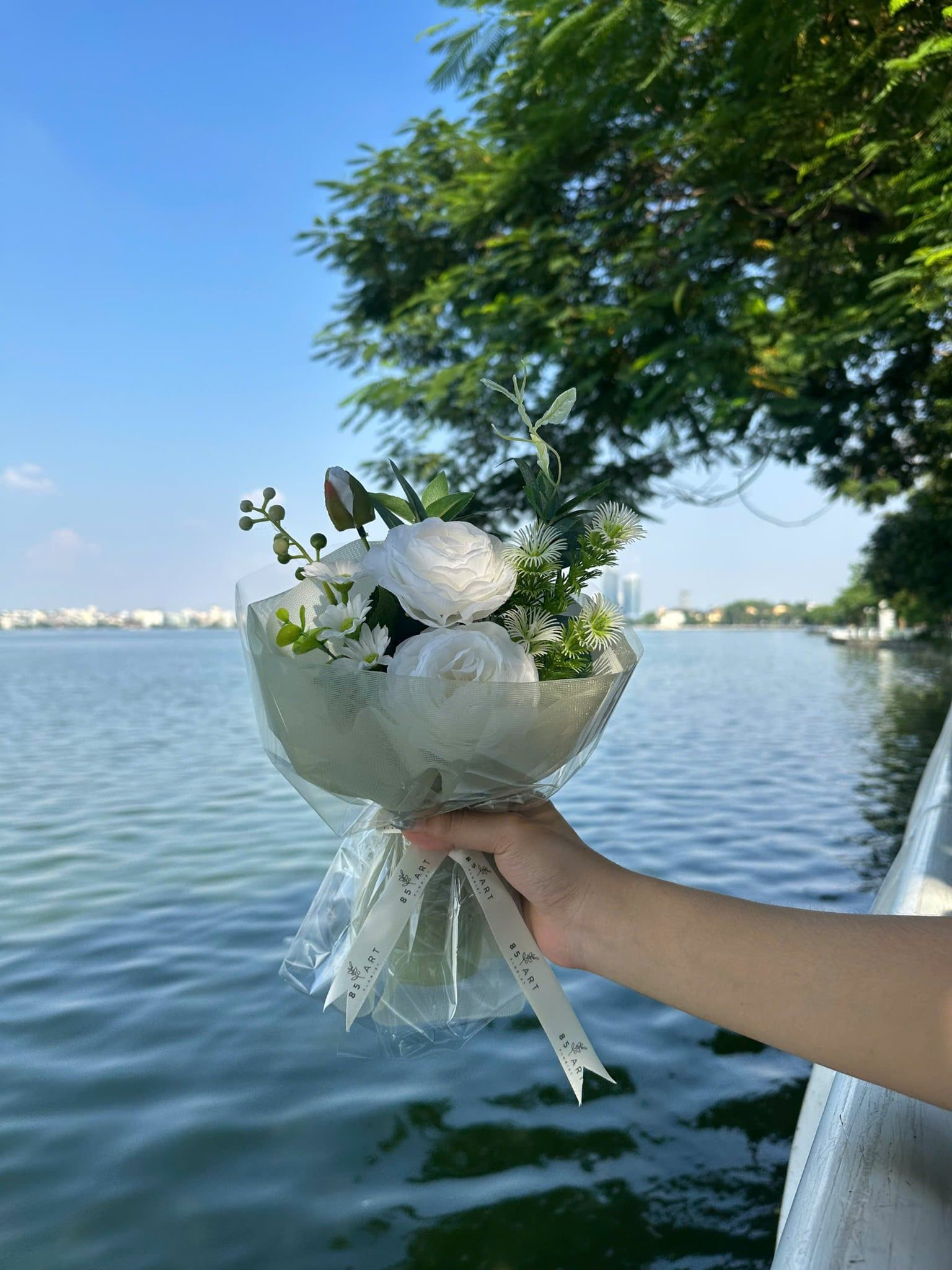  HỒNG TRẮNG 2 BÔNG 