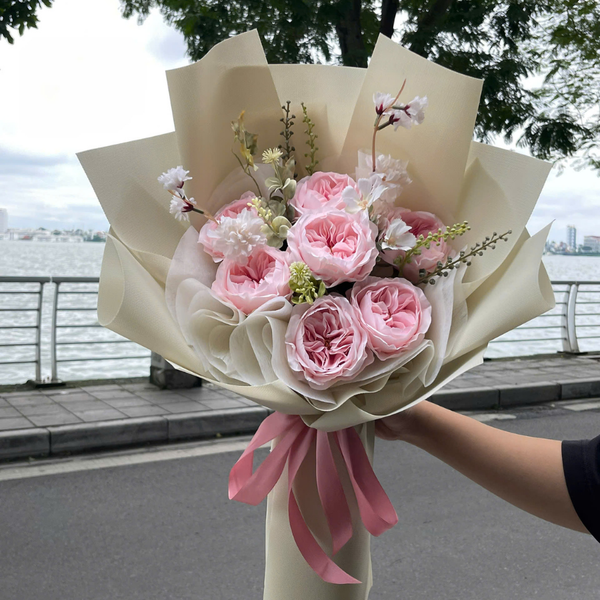  HOA BÓ - MIMOSA KẸO NGỌT 