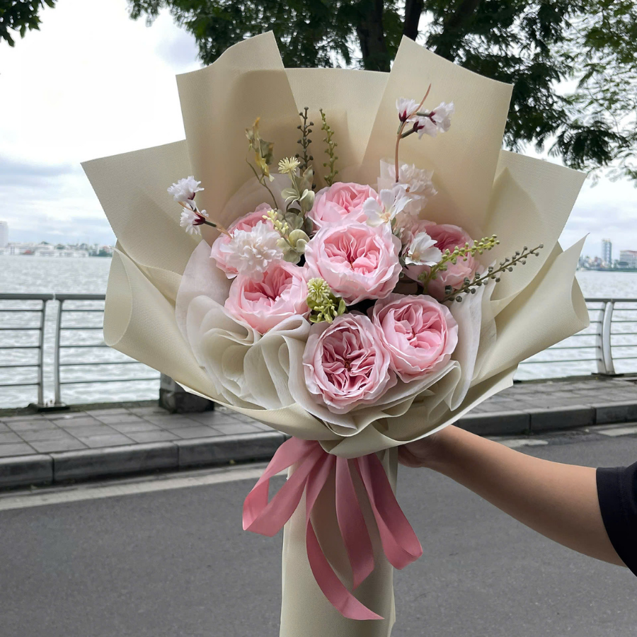  HOA BÓ - MIMOSA KẸO NGỌT 