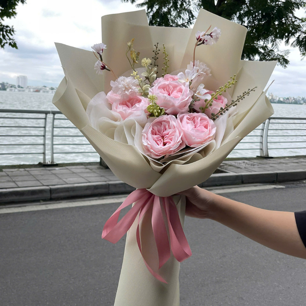  HOA BÓ - MIMOSA KẸO NGỌT 