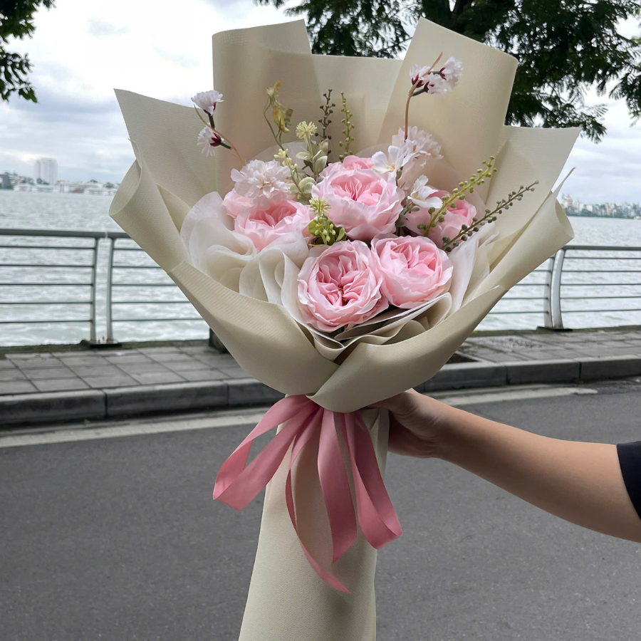  HOA BÓ - MIMOSA KẸO NGỌT 