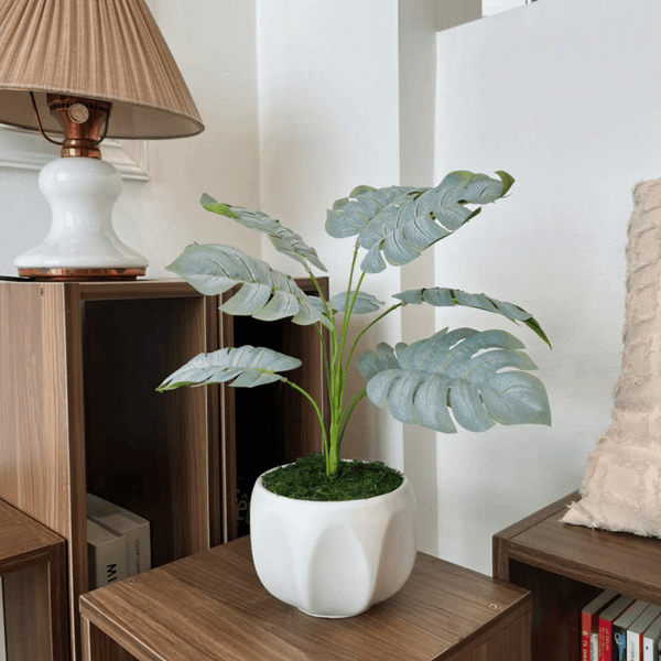  85ART - CÂY LÁ TRẮNG 