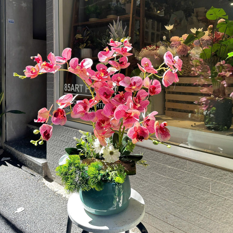  BST LAN - LAN HỒ ĐIỆP HỒNG ĐẬM 5 NHÁNH 