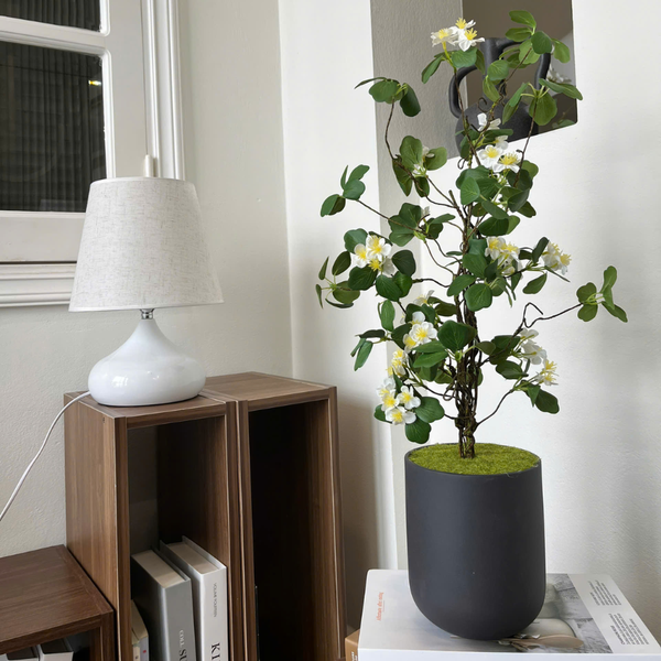  85ART - CÂY NHẬT CHI MAI 