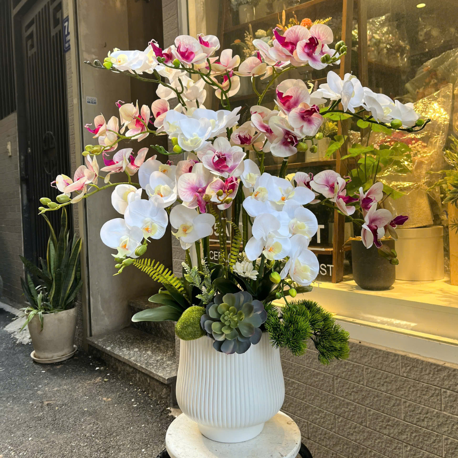  BST LAN - LAN HỒ ĐIỆP HỒNG TRẮNG 