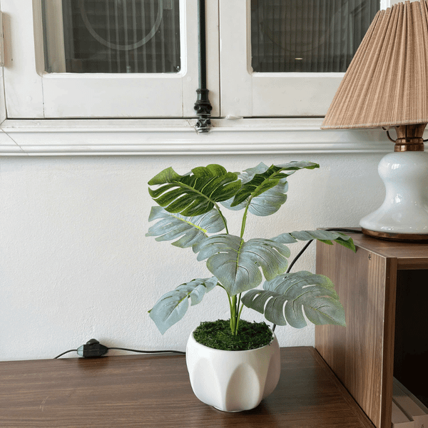  85ART - CÂY LÁ TRẮNG 