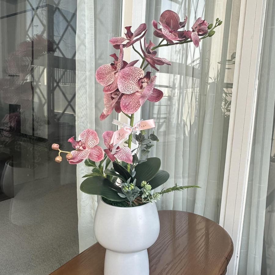  BST LAN - LAN HỒ ĐIỆP HỒNG ĐẬM MẸ CON 