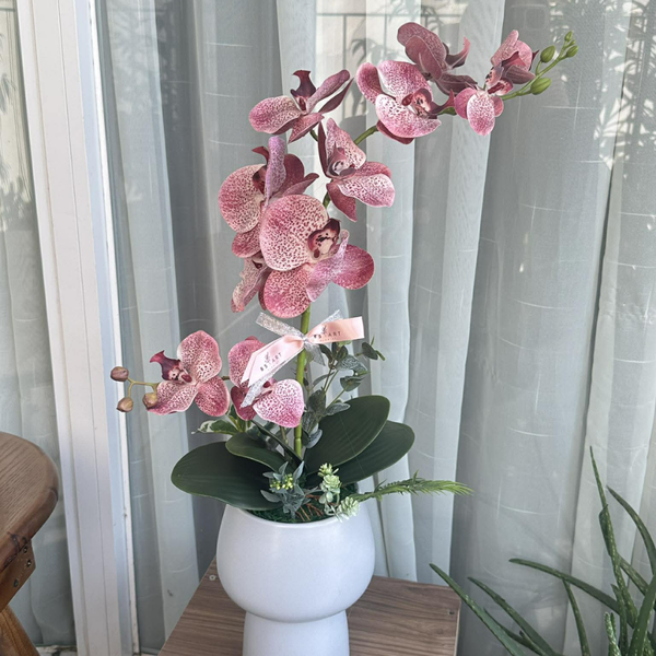  BST LAN - LAN HỒ ĐIỆP HỒNG ĐẬM MẸ CON 