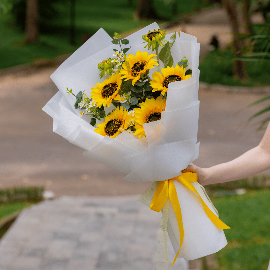  HOA BÓ - HƯỚNG DƯƠNG MAX 