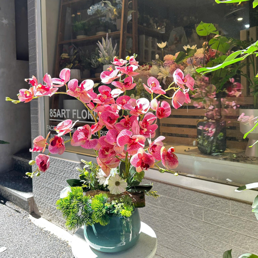  BST LAN - LAN HỒ ĐIỆP HỒNG ĐẬM 5 NHÁNH 