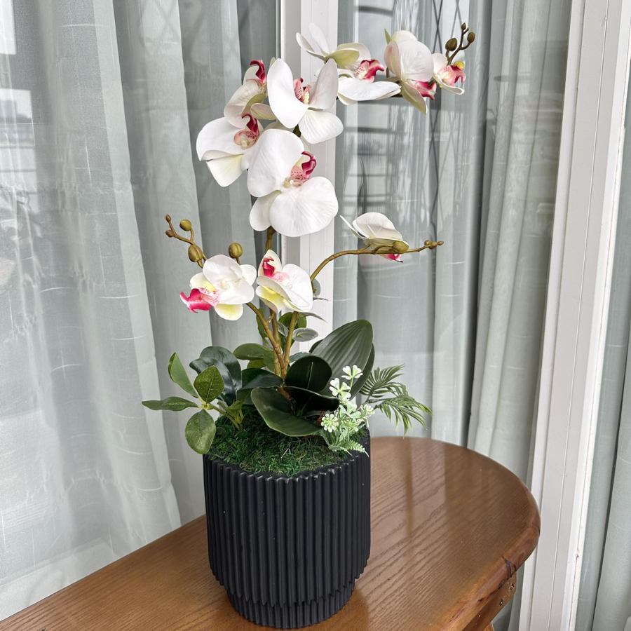  BST LAN - HỒ ĐIỆP ÁNH HỒNG MẸ CON 