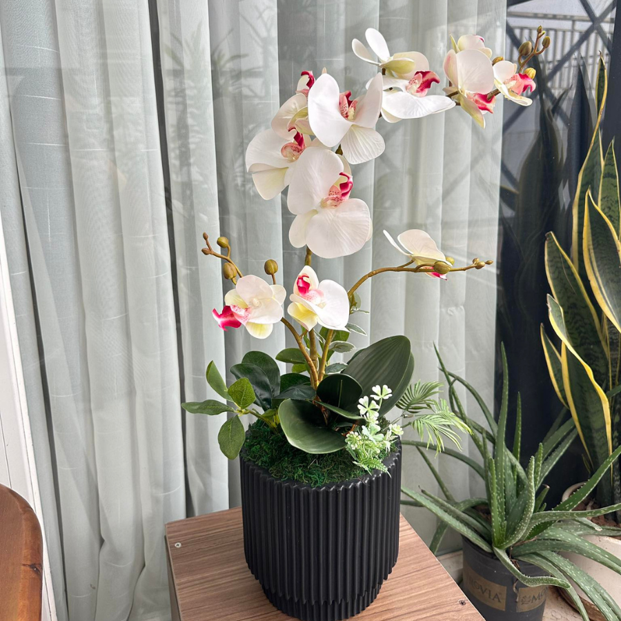  BST LAN - HỒ ĐIỆP ÁNH HỒNG MẸ CON 