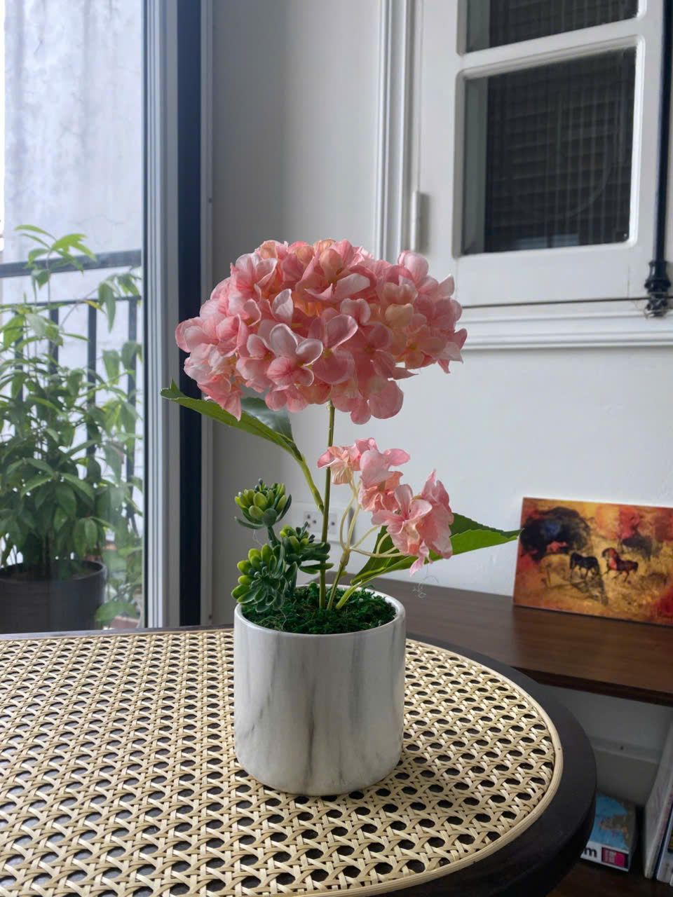  85ART - CÂY CẨM TÚ CẦU HỒNG 