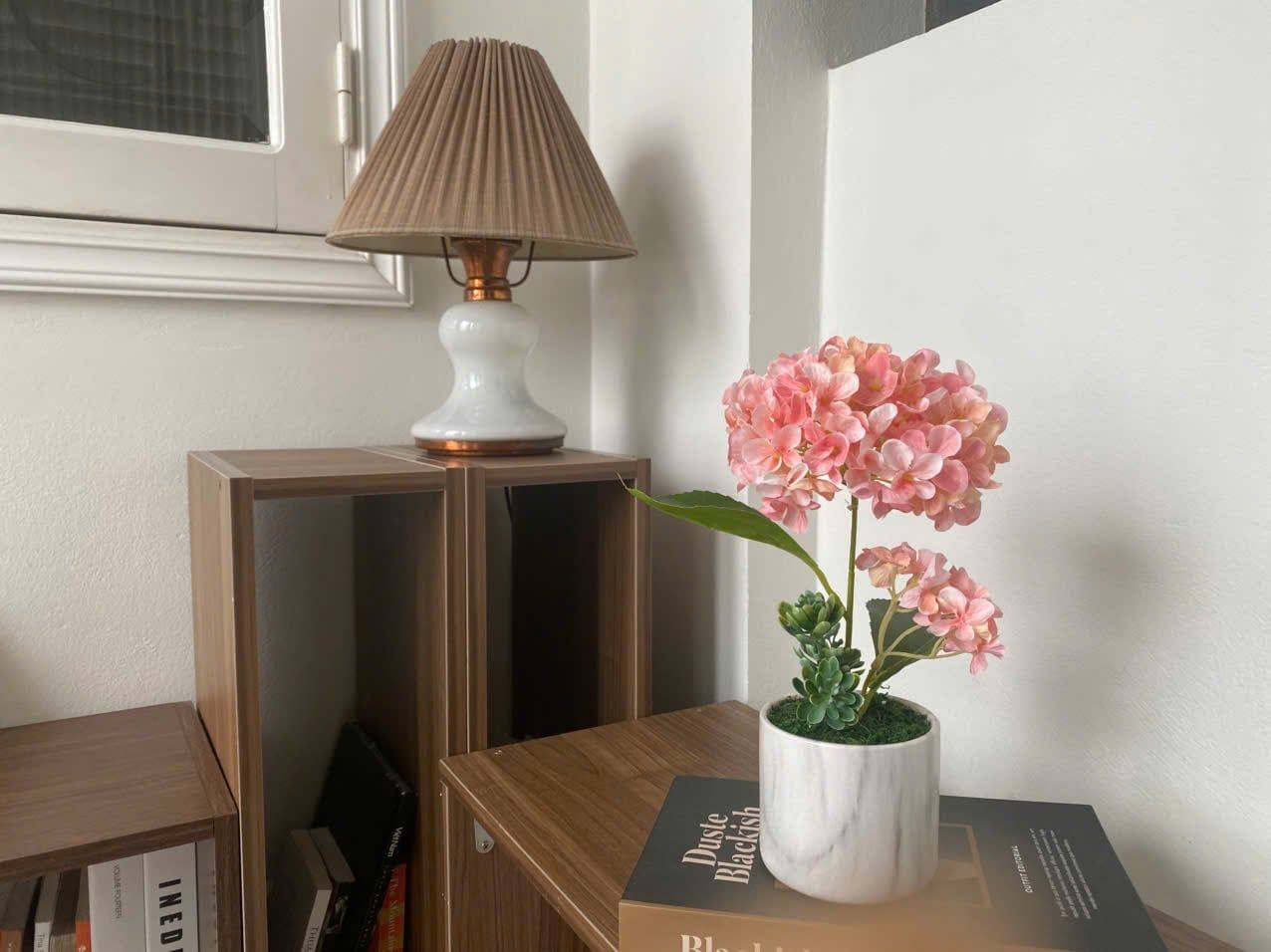  85ART - CÂY CẨM TÚ CẦU HỒNG 