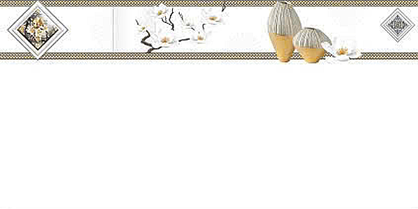 Gạch ốp tường men bóng kính trắng trơn điểm hoa DHT-GNZD-VD - 30x60