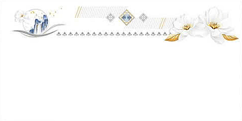  Gạch ốp tường đá bóng kính trắng trơn điểm hoa DHT-GNGZZ-VD   - 30x60 