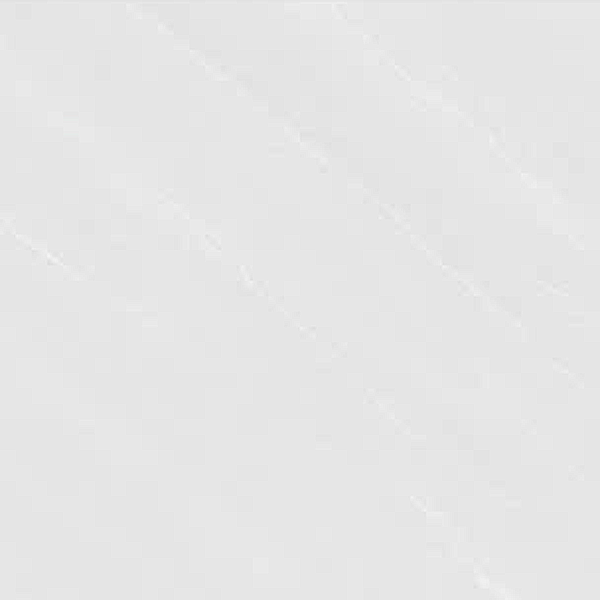 Gạch lát nền đá mờ vân đá xám GT-NN-M-ZF-A 60x60