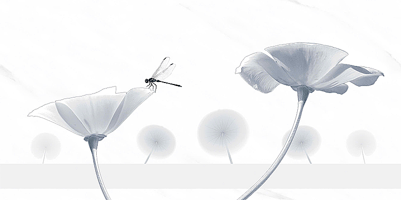 Gạch ốp men bóng trắng vân khói điểm hoa văn JADE-HVZZD - 40x80