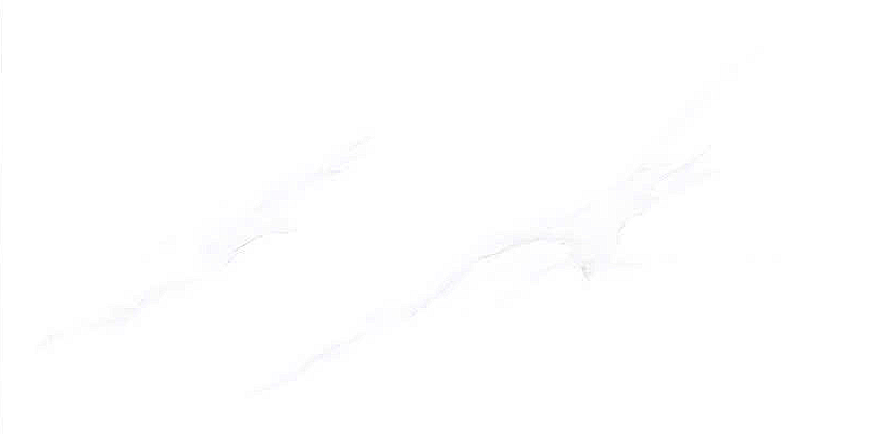 Gạch ốp men bóng trắng vân điểm bình hoa MHP-HVZX - 40x80