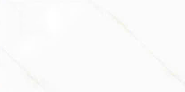 Gạch ốp tường men bóng trắng vân khói điểm hoa TH-GNZZF-R   - 30x60