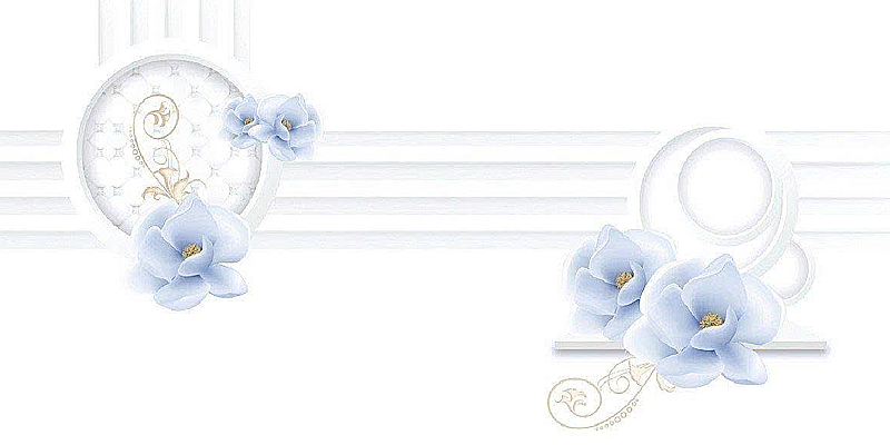 Gạch ốp men bóng trắng trơn điểm hoa TK-HVMZ - 40x80