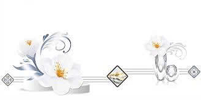 Gạch ốp men bóng trắng trơn viền hoa văn điểm bình hoa TK-HVMM - 40x80