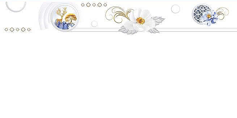 Gạch ốp men bóng trắng trơn viền hoa văn điểm bình hoa TK-HVMN - 40x80