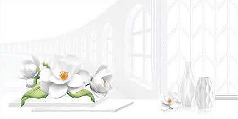 Gạch ốp men bóng trắng trơn viền hoa văn điểm bình hoa TK-HVMV - 40x80