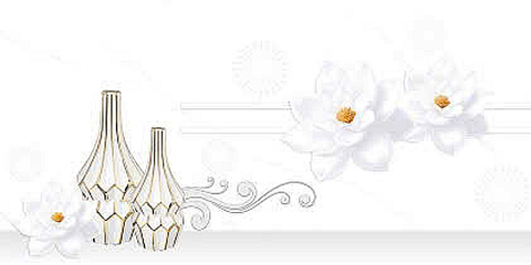  Gạch ốp tường men bóng trắng vân khói điểm hoa TN-GND-V2   - 30x60 