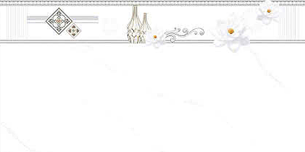 Gạch ốp tường men bóng trắng vân khói điểm hoa TN-GND-V2   - 30x60