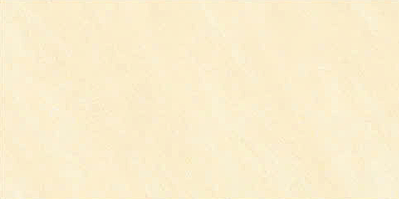 Gạch ốp men bóng vân vàng điểm hoa văn TN-HXZM - 40x80