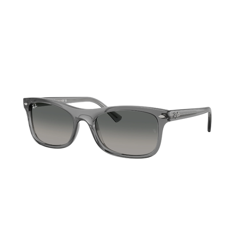 KÍNH MÁT UNISEX RAYBAN 0RB2226F 66417157