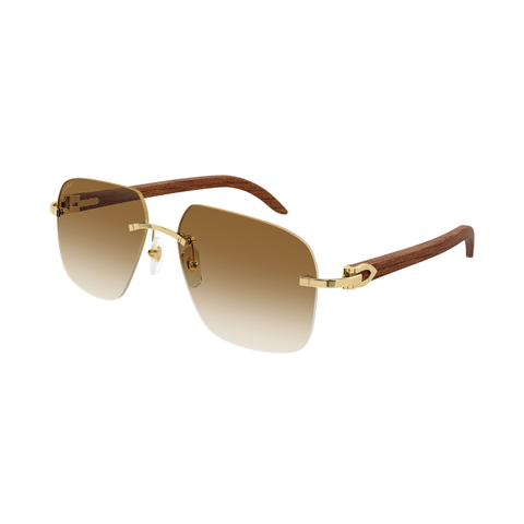 KÍNH MÁT NAM CARTIER CT0041RS 001